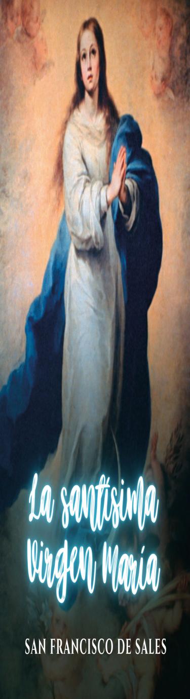 Portada de La Santísima Virgen María